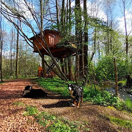 Vila Treehouse v Brdech Bohutín Exteriér fotografie