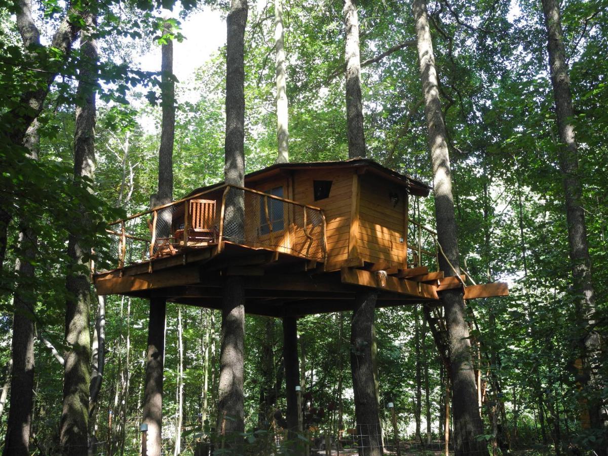 Vila Treehouse v Brdech Bohutín Exteriér fotografie