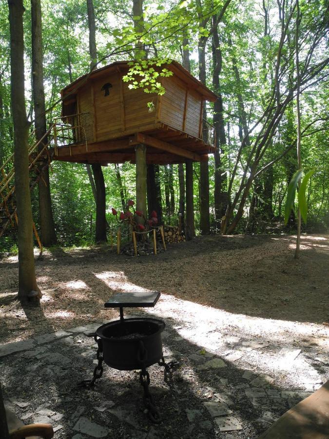 Vila Treehouse v Brdech Bohutín Exteriér fotografie