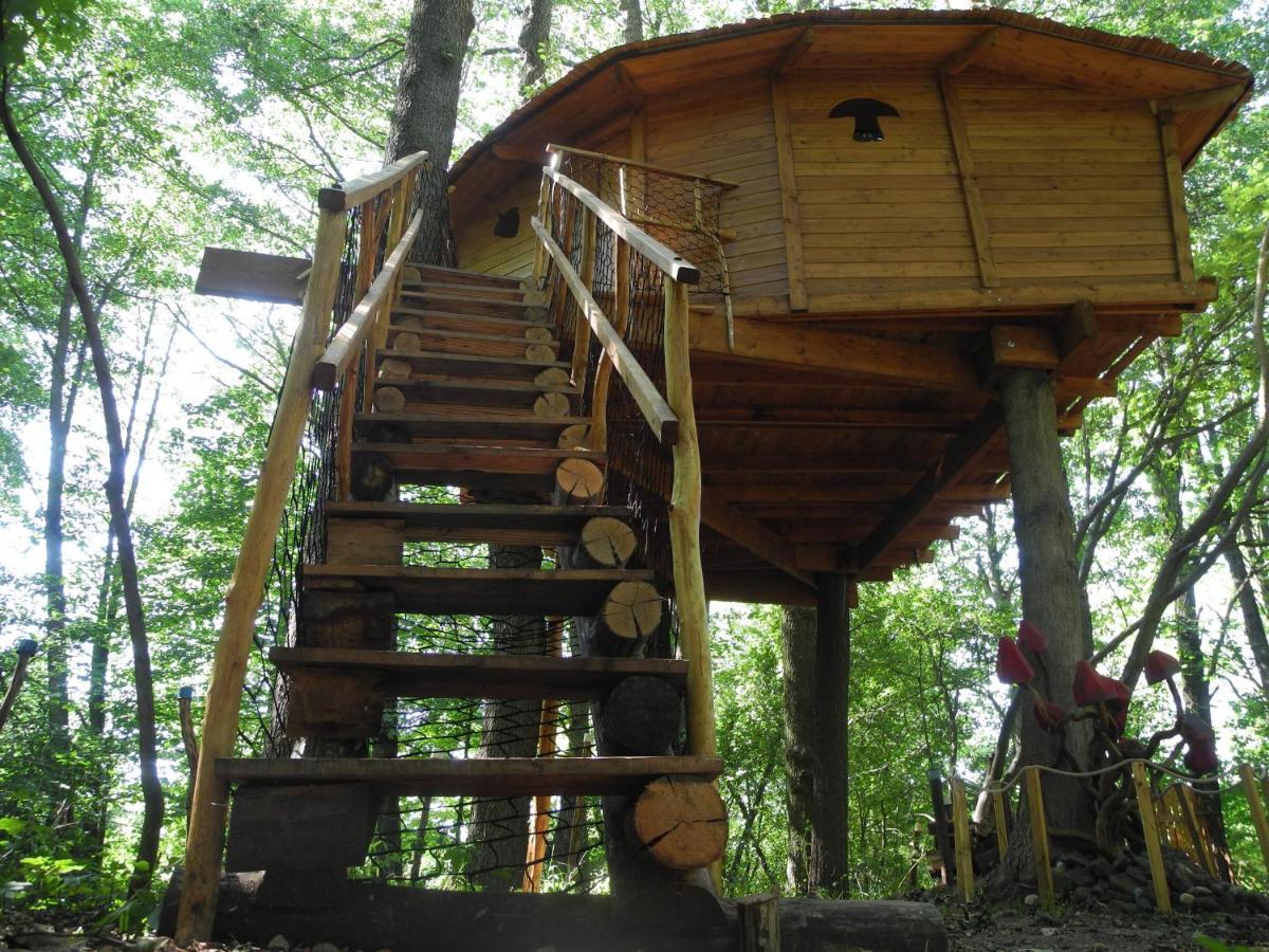 Vila Treehouse v Brdech Bohutín Exteriér fotografie