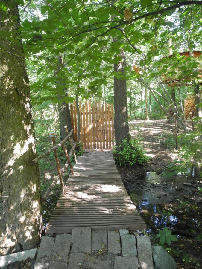 Vila Treehouse v Brdech Bohutín Exteriér fotografie